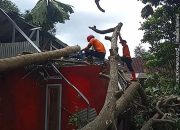 Sinergi BPBD Kuningan dan Damkar