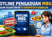 Ini Nomor Layanan Pengaduan Tentang MBG