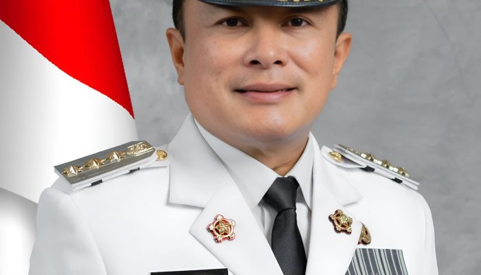 Mencari Solusi Pemenuhan Buku Referensi