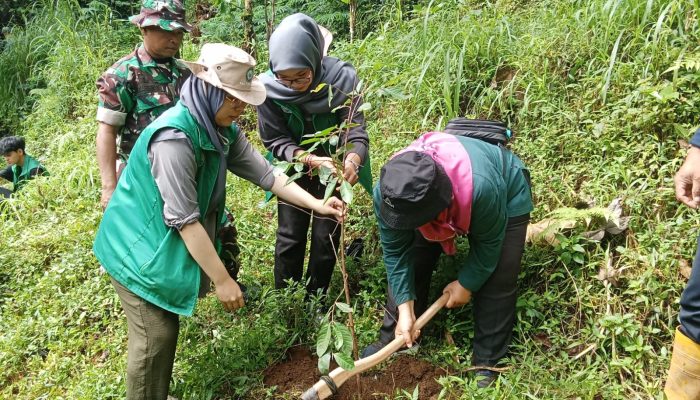 Mahasiswa KKN 17 UGJ Cirebon Tanam Bibit Pohon di Lereng Gunung Ciremai