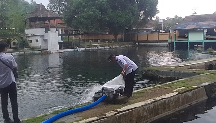Ikan Dewa Mati di Balong Cigugur Capai 305 Ekor, Dian : Saya Ingin Data Akurat