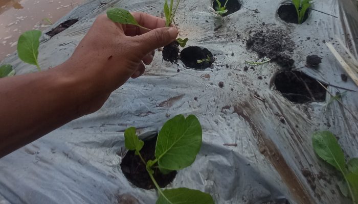 Menggali Potensi Ekonomi Berbasis Kearifan Lokal
