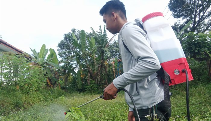 Petani Muda di Kuningan, Kembangkan Pertanian Terbentur Lahan