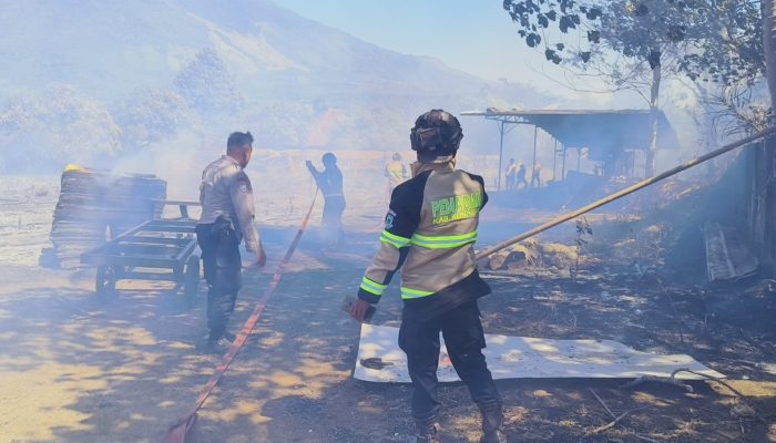 Kerugian Capai Rp117 Juta, Angin Kencang Hambat Pemadaman Api di Lokasi Kebakaran Pabrik Pengolahan Kayu