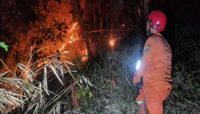 Kebakaran Hutan di Lahan Perhutani Kuningan