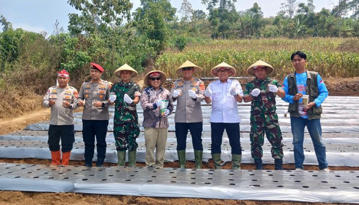 Polri Gelar Penanaman Serentak Bawang Putih, Kuningan Siapkan Lahan 7 Hektare