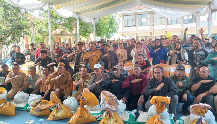 300 Petani Ubi Jalar Kuningan Dapat Bantuan Pupuk dan Demplot Pertanian