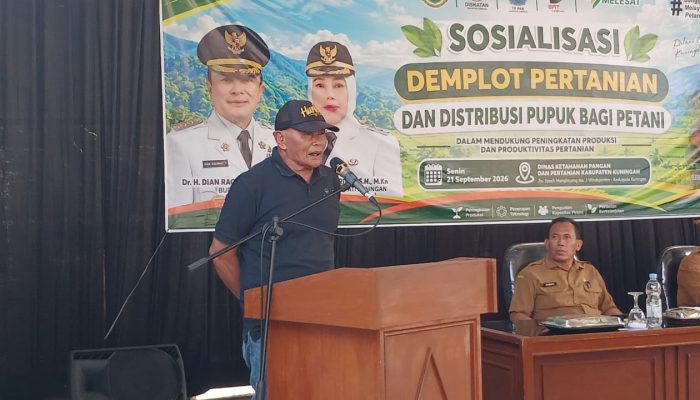 Petani Linggamekar Ungkap Hasil Demplot Ubi Jalar Capai 6,3 Ton
